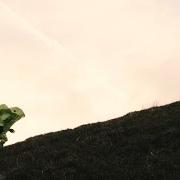 Der musikalische text SHE DON'T CARE von TOM ROSENTHAL ist auch in dem Album vorhanden The pleasant trees, vol. 2 (2015)