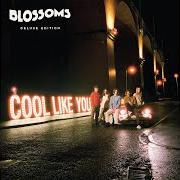 Der musikalische text I CAN'T STAND IT von BLOSSOMS ist auch in dem Album vorhanden Cool like you (2018)