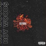 Der musikalische text DANGEROUS von ROY WOODS ist auch in dem Album vorhanden Nocturnal (2016)