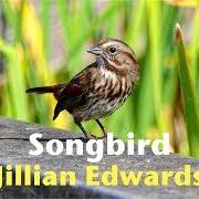 Der musikalische text SUITCASE von JILLIAN EDWARDS ist auch in dem Album vorhanden Songbird (2009)