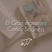 Der musikalische text BIKINI von CARLOS SADNESS ist auch in dem Album vorhanden La idea salvaje (2015)