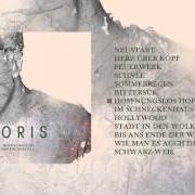 Der musikalische text FEUERWERK von JORIS ist auch in dem Album vorhanden Hoffnungslos hoffnungsvoll (2015)