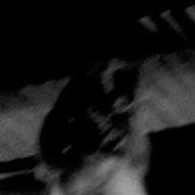 Der musikalische text GIN AND MILK von DIRTY PRETTY THINGS ist auch in dem Album vorhanden Waterloo to anywhere (2006)