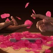 Hundred fifty roses