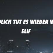 Der musikalische text ENDLICH TUT ES WIEDER WEH von ELIF ist auch in dem Album vorhanden Endlich tut es wieder weh (2023)