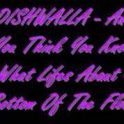 Der musikalische text ONCE IN A WHILE von DISHWALLA ist auch in dem Album vorhanden And you think you know what life's about (1998)