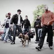 Der musikalische text WILLKOMMEN IN DER REALITÄT von BONEZ MC ist auch in dem Album vorhanden Krampfhaft kriminell (2012)
