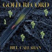Der musikalische text PROTEST SONG von BILL CALLAHAN ist auch in dem Album vorhanden Gold record (2020)