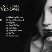Der musikalische text FEEL YOU von MADELINE JUNO ist auch in dem Album vorhanden The unknown (2014)