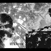 Der musikalische text PASSAGE von DJ KRUSH ist auch in dem Album vorhanden Jaku (2004)