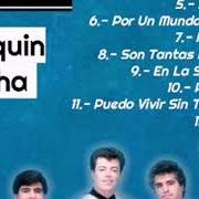 Der musikalische text AVE DE CRISTAL von LOS KJARKAS ist auch in dem Album vorhanden Quiquin...Pacha (1995)