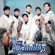 Der musikalische text AVE DE CRISTAL von LOS KJARKAS ist auch in dem Album vorhanden Hermanos (1993)