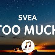 Der musikalische text TOO MUCH von SVEA ist auch in dem Album vorhanden Pity party (2020)