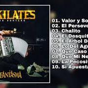 Der musikalische text EL DESQUITE von EL FANTASMA ist auch in dem Album vorhanden 10 kilates: con norteño (2019)