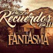 Der musikalische text EL GUAJOLOTE von EL FANTASMA ist auch in dem Album vorhanden Pa' los recuerdos, vol. 3 (2020)
