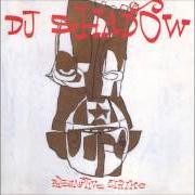 Der musikalische text WHAT DOES YOUR SOUL LOOK LIKE (PART 1) von DJ SHADOW ist auch in dem Album vorhanden Preemptive strike (1998)