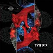 Der musikalische text WRAPPED IN GUILT von THE ALCHEMIST ist auch in dem Album vorhanden Tripsis (2007)