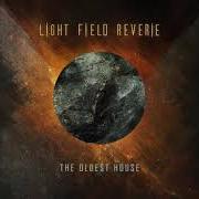 Der musikalische text DREAMWALKER von LIGHT FIELD REVERIE ist auch in dem Album vorhanden Another world (2020)