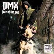 Der musikalische text I RUN SHIT von DMX ist auch in dem Album vorhanden Year of the dog... again (2006)