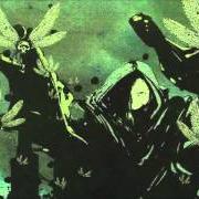 Der musikalische text HORRORIZON von DØDHEIMSGARD ist auch in dem Album vorhanden Supervillain outcast (2007)