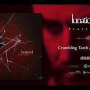 Der musikalische text SUSPENDED IN WHITENESS von LUNATIC SOUL ist auch in dem Album vorhanden Lunatic soul ii (2010)