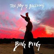 Der musikalische text BABY ZOMBIES von BIIG PIIG ist auch in dem Album vorhanden The sky is bleeding (2021)