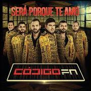 Der musikalische text UN SOÑADOR von CODIGO FN ist auch in dem Album vorhanden Te amare mas (2013)