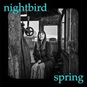 Der musikalische text NIGHT IN SAGUARO von BRITTAIN ASHFORD & MATT BAUER ist auch in dem Album vorhanden Day inside a night (2020)