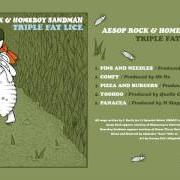 Der musikalische text PIZZA AND BURGERS von AESOP ROCK ist auch in dem Album vorhanden Triple fat lice (2017)