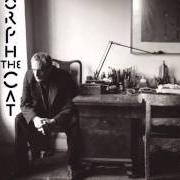 Der musikalische text MORPH THE CAT von DONALD FAGEN ist auch in dem Album vorhanden Morph the cat (2006)