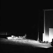 Der musikalische text ANOTHER WAY OF LIFE von CLOUD NOTHINGS ist auch in dem Album vorhanden Last building burning (2018)