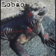 Der musikalische text SPRAY JET von LOBÃO ist auch in dem Album vorhanden Lobão (2015)