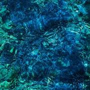 Luminescent creatures Luminescent creatures