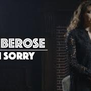 Der musikalische text I'M SORRY von KIMBEROSE ist auch in dem Album vorhanden Chapter one (deluxe) (2019)