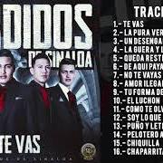Der musikalische text DE AQUÍ PAYA von PERDIDOS DE SINALOA ist auch in dem Album vorhanden Te vas (2016)