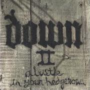 Der musikalische text LEARN FROM THIS MISTAKE von DOWN ist auch in dem Album vorhanden Down ii (2002)