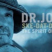 Der musikalische text SOMETIMES I FEEL LIKE A MOTHERLESS CHILD von DR. JOHN ist auch in dem Album vorhanden Ske-dat-de dat... the spirit of satch (2014)