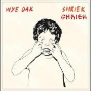 Der musikalische text GLORY von WYE OAK ist auch in dem Album vorhanden Shriek (2014)