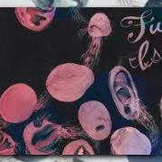 Der musikalische text WAVE LIKE HOME von FUTURE ISLANDS ist auch in dem Album vorhanden Wave like home (2008)