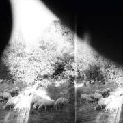 Der musikalische text ASUNDER, SWEET von GODSPEED YOU! BLACK EMPEROR ist auch in dem Album vorhanden Asunder, sweet and other distress (2015)