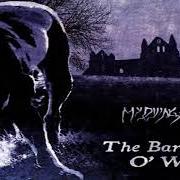 Der musikalische text COMA WHITE von DREADFUL SHADOWS ist auch in dem Album vorhanden Apology (mcd) (2000)