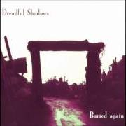 Der musikalische text MORTAL HOPE von DREADFUL SHADOWS ist auch in dem Album vorhanden Buried again (1996)