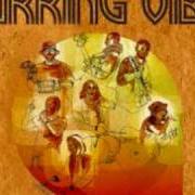 Der musikalische text L'UOMO PIÙ FORTE von WORKING VIBES ist auch in dem Album vorhanden Su qualsiasi ritmo (2007)