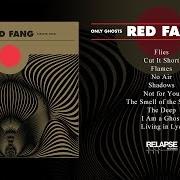 Der musikalische text DUMB GUY von RED FANG ist auch in dem Album vorhanden Only ghosts (2016)