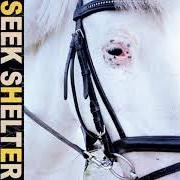Der musikalische text LOVE KILLS SLOWLY von ICEAGE ist auch in dem Album vorhanden Seek shelter (2021)