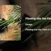 Der musikalische text AGAINST THE MOON von ICEAGE ist auch in dem Album vorhanden Plowing into the field of love (2014)