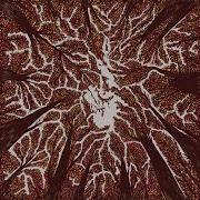 Der musikalische text UNDERMINE von TRASH BOAT ist auch in dem Album vorhanden Crown shyness (2018)