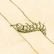 Der musikalische text AMICI STRETTI von CHIELLO ist auch in dem Album vorhanden Scarabocchi (2025)