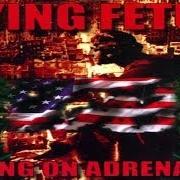Der musikalische text FORNICATION TERRORISTS von DYING FETUS ist auch in dem Album vorhanden Killing on adrenaline (1998)