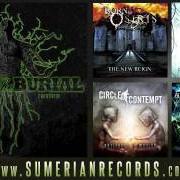 Der musikalische text CURSING AKHENATEN von AFTER THE BURIAL ist auch in dem Album vorhanden Rareform (2008)